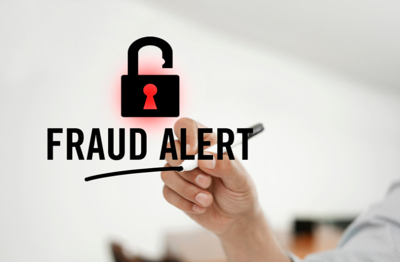 government fraud strategy to alert of fraud in the public sector
